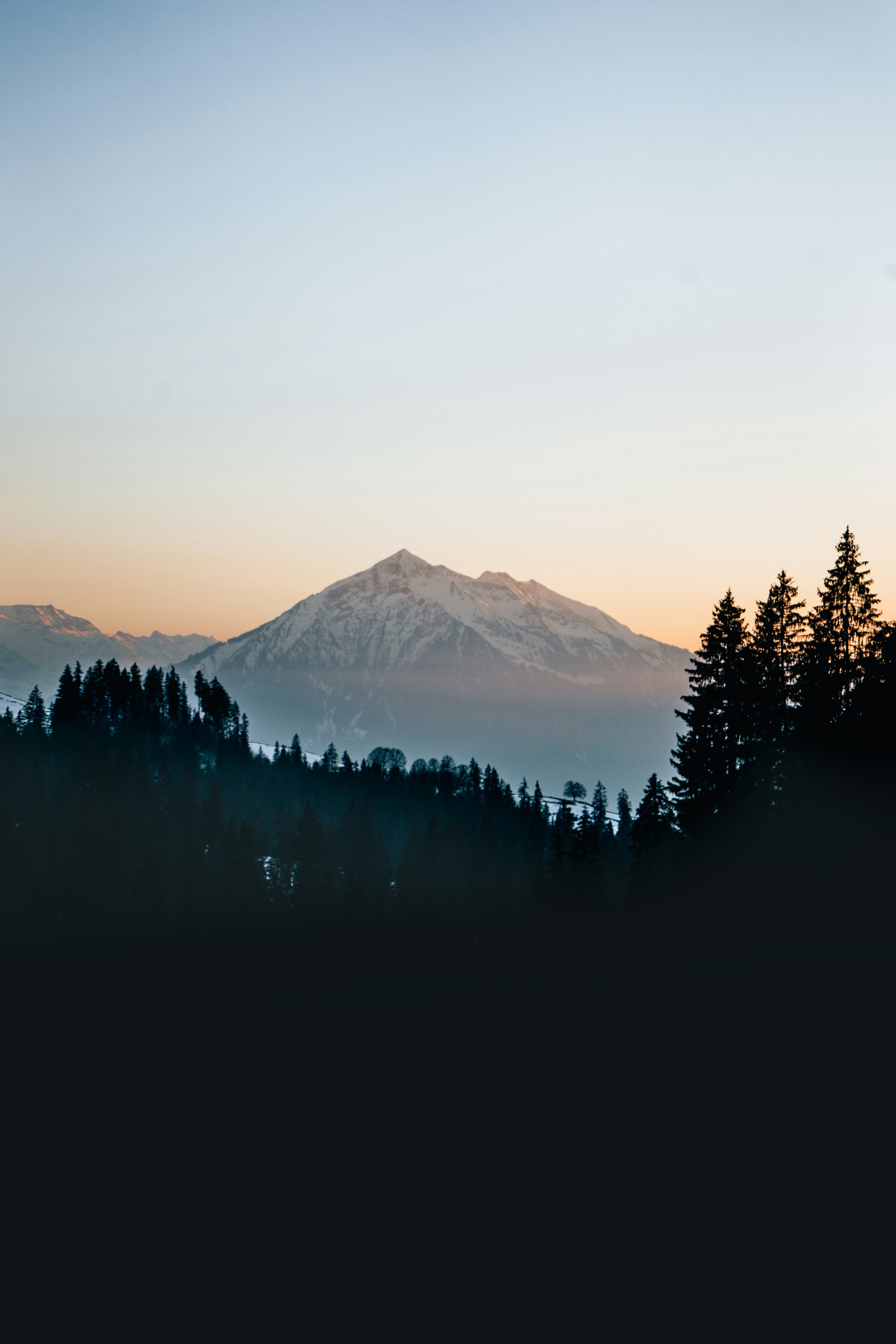 silhouette of trees near mountain during daytime